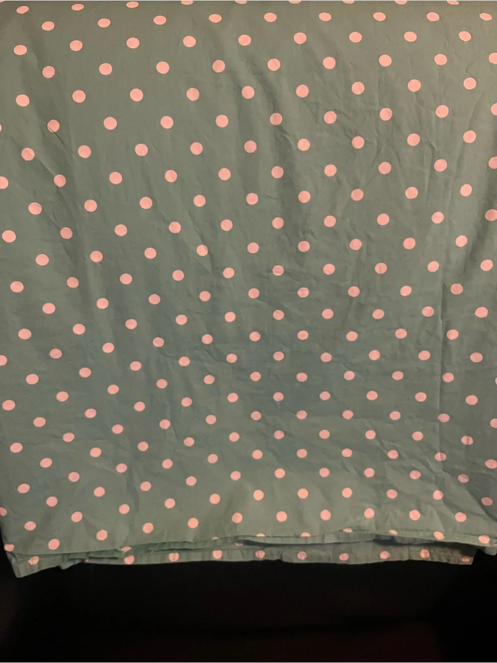 Pottery Barn Polka Dot Powder Green Full Flat sheet